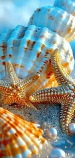 Starfish and seashells on a sandy beach with ocean waves.