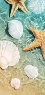 Starfish and seashells on a sandy beach with turquoise water.