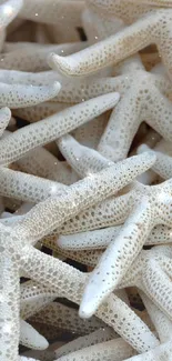 Close-up image of stacked white starfish in a calming beach theme wallpaper.