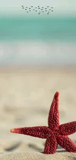 A vibrant red starfish rests on a serene sandy beach with turquoise waters.