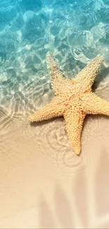 Serene mobile wallpaper with a starfish on a sandy beach and gentle ocean waves.