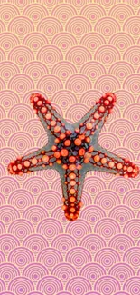 Starfish on a vibrant, geometric patterned background in pink hues.