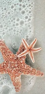 Starfish resting on a sandy beach with foaming ocean waves.