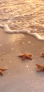 Starfish on a sandy beach during a golden sunset with gentle waves.