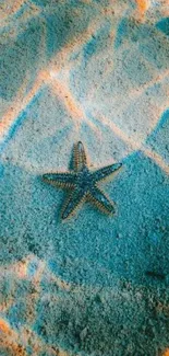 Starfish resting on a sandy ocean floor with turquoise and orange hues.