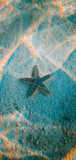 Starfish on sandy seabed with aqua hues.