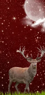 Majestic deer in a starry night with a moonlit sky.