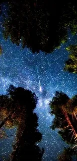 Starlit sky above a tranquil forest.