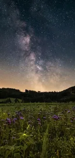 Starlit meadow under a vibrant Milky Way night sky with purple wildflowers.