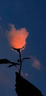 Silhouetted rose against a starlit night sky with glowing clouds.