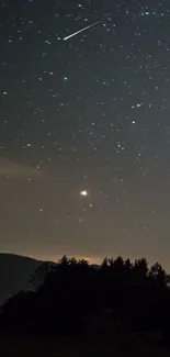 Starry night sky with shooting star over dark trees and landscape.