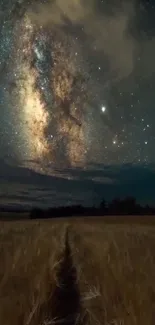 Night sky with stars over a tranquil field.