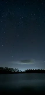 Starlit sky with silhouettes of trees at night.