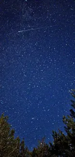 Star-filled night sky with silhouetted trees beneath.