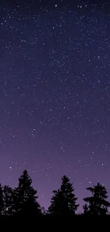 Starlit night sky over forest silhouette wallpaper.