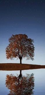 Lone tree reflection under starlit sky on a calm lake surface.