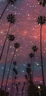 Silhouettes of palm trees against a starlit purple sky.