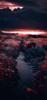 Starlit path with dark skies and glowing red flowers wallpaper.