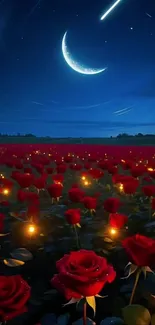 Starlit field of red roses under a crescent moonlit sky.