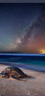 Turtle resting on a starry beach under a night sky.