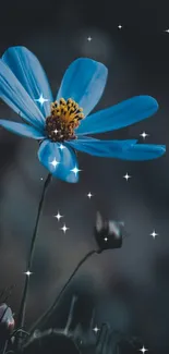 Blue flower with a starry background on dark wallpaper.