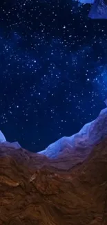 Canyon with starry night sky visible above