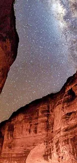 Starry night sky over rocky canyon landscape.