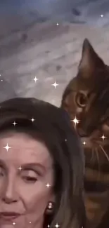 Starry wallpaper with a cat and mysterious aura.