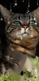 Majestic tabby cat under a starry sky in a nature-themed mobile wallpaper.