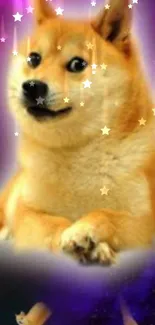 Doge amidst a whimsical starry purple fantasy background.