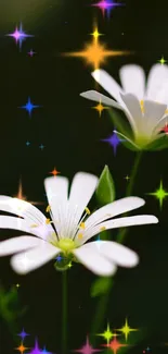 White flowers with colorful sparkles on a dark background.