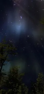 Starry night sky over a dark forest silhouette.