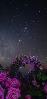 Starry night sky with pink roses in a garden setting.