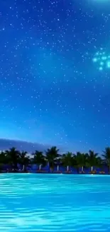 Starry night view over tropical beach with palm trees and ocean.