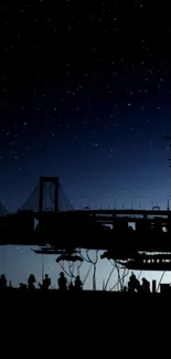 Silhouette of a bridge under a starry night sky.