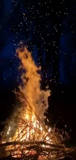 Warm campfire under a dark, starry sky in the forest.