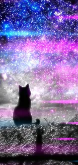 A silhouetted cat under a blue and pink starry sky wallpaper.