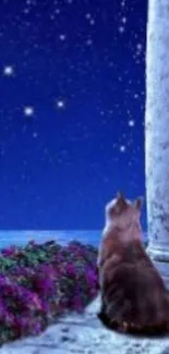 Cat gazing at a starry night sky by an ocean ledge.