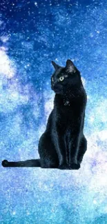 Elegant black cat against starry blue sky wallpaper.