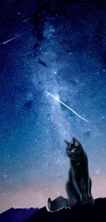 Black cat under a starry night sky with shooting stars.