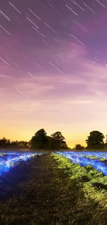 Starry night sky over a vibrant field landscape.