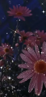 Night sky wallpaper with sparkling pink flowers.