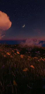 Starry night sky over wildflowers, crescent moon visible.