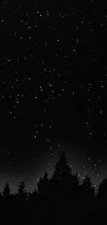 Starry night sky with forest silhouette in black and white theme.