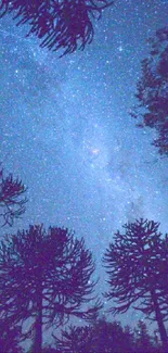 Starry night sky with silhouetted forest trees under a midnight blue hue.