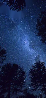 Starry night sky above a forest with silhouetted trees.