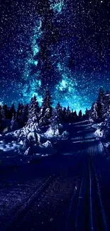 Starry night sky over a serene winter forest.