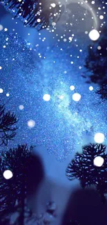 Starry night forest with twinkling stars and silhouetted trees.