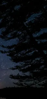 Starry night sky with silhouetted trees and serene forest view.