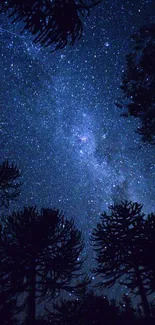 Starry night sky above forest trees, perfect for a serene mobile wallpaper.